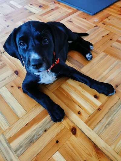 Blick fürs Detail!-Beitrag-Bild