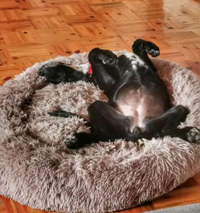 CHALLENGE NR. 34 - Liege-/Schlafpositionen-Beitrag-Bild