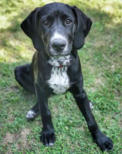 Lieblingsbild :D-Beitrag-Bild