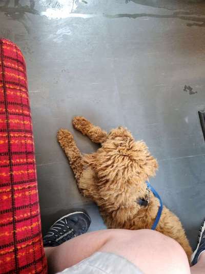 Impulskontrolle Challenge Nr.: 7
         "Gesellschaftsfähig"-Beitrag-Bild