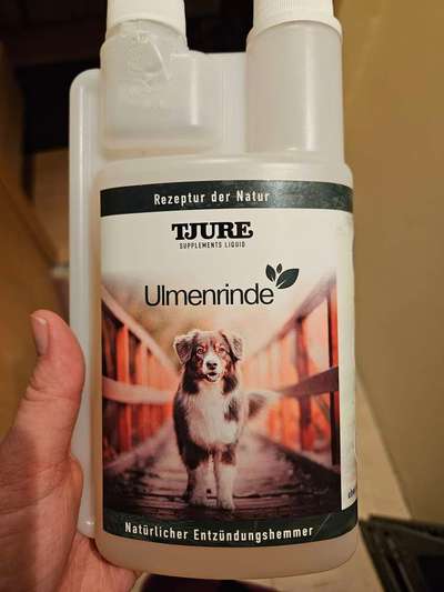 Ulmenrinde-Beitrag-Bild