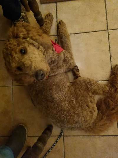 Impulskontrolle Challenge Nr.: 7
         "Gesellschaftsfähig"-Beitrag-Bild