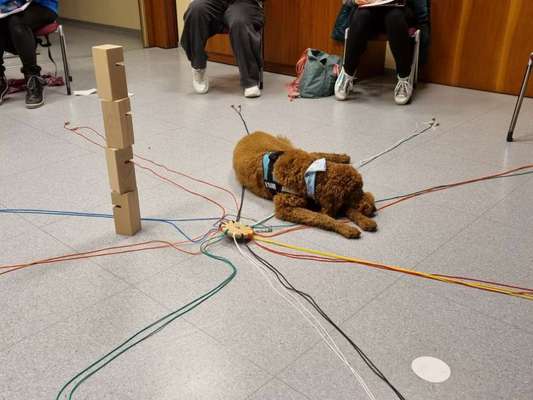 Impulskontrolle Challenge Nr.: 7
         "Gesellschaftsfähig"-Beitrag-Bild