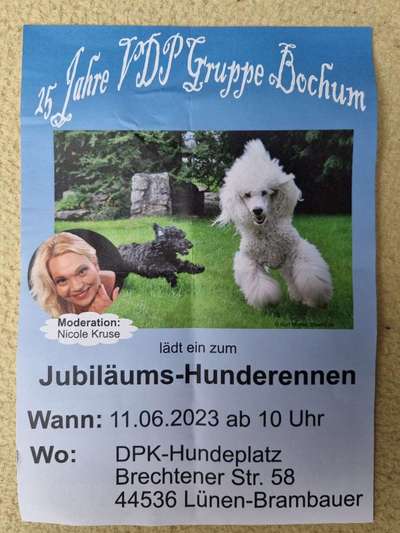 Hunderennen für jeder Mann/ Hund-Beitrag-Bild