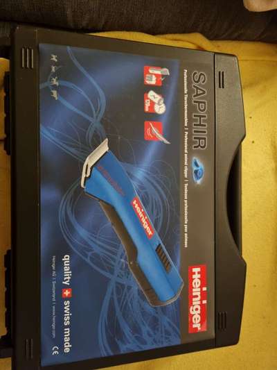 Alles rund um den Pudel-Beitrag-Bild