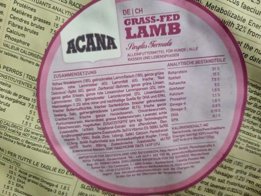 Alles rund um den Pudel-Beitrag-Bild