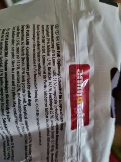 Alles rund um den Pudel-Beitrag-Bild