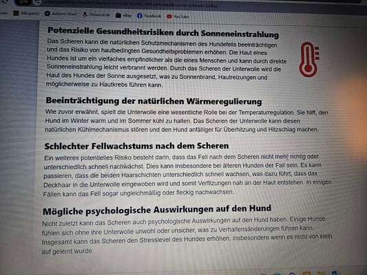 Wasserscheuer Hund und Duschprozedere-Beitrag-Bild