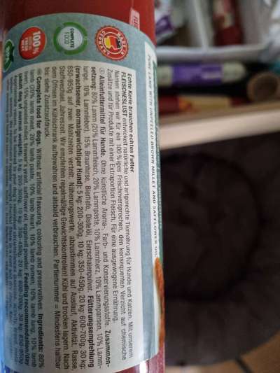 Alles rund um den Pudel-Beitrag-Bild