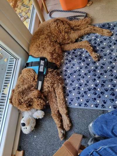 Impulskontrolle Challenge Nr.: 7
         "Gesellschaftsfähig"-Beitrag-Bild