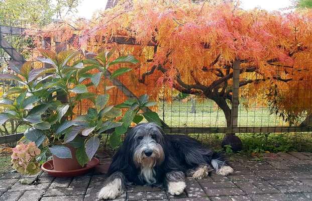 26. Farben Fotochallenge "Herbstfarben"-Beitrag-Bild