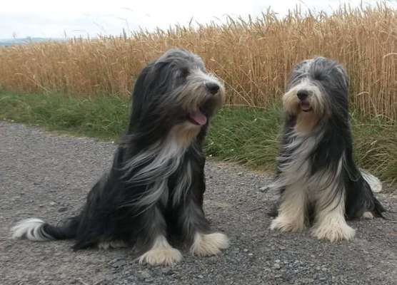 Lieblingsbild-Beitrag-Bild