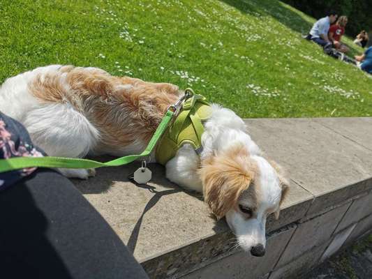 Foto Challenge Nr. 134-Beitrag-Bild