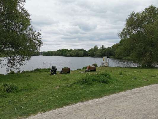 Hundeauslaufgebiet-Am Obersee-Bild