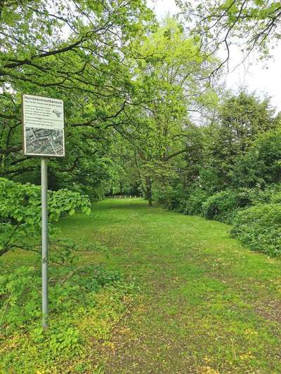 Hundeauslaufgebiet-Am Brodhagen-Bild