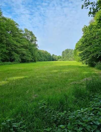 Hundeauslaufgebiet-An der Oetker Eisbahn-Bild