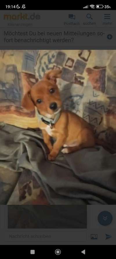 Alleine bleiben. Wie aufbauen?-Beitrag-Bild