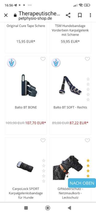 Collies gesucht-Beitrag-Bild