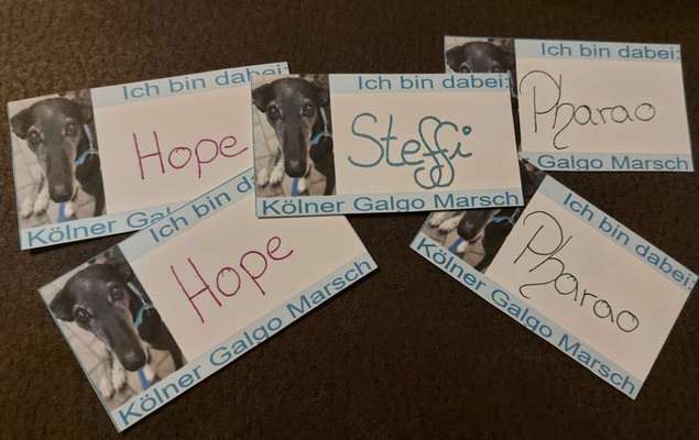 Windhunde - Treffen der besonderen Schönheiten
HERZLICH WILLKOMMEN-Beitrag-Bild