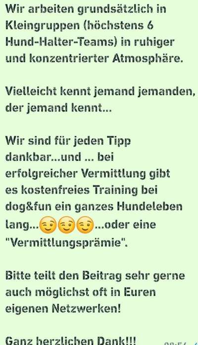 Windhunde - Treffen der besonderen Schönheiten
HERZLICH WILLKOMMEN-Beitrag-Bild