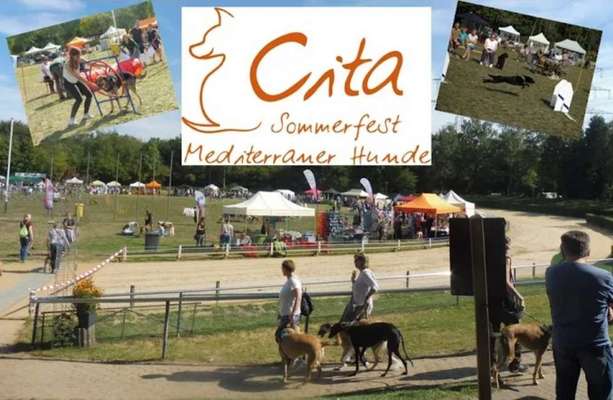 Windhunde - Treffen der besonderen Schönheiten
HERZLICH WILLKOMMEN-Beitrag-Bild