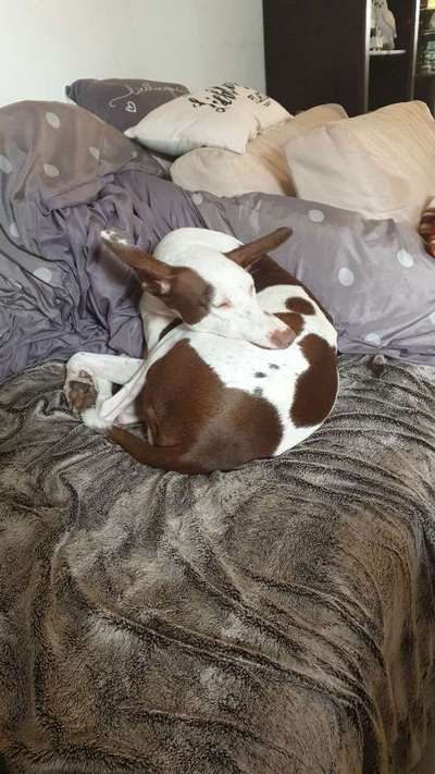 CHALLENGE NR. 34 - Liege-/Schlafpositionen-Beitrag-Bild