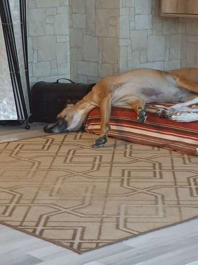 CHALLENGE NR. 34 - Liege-/Schlafpositionen-Beitrag-Bild