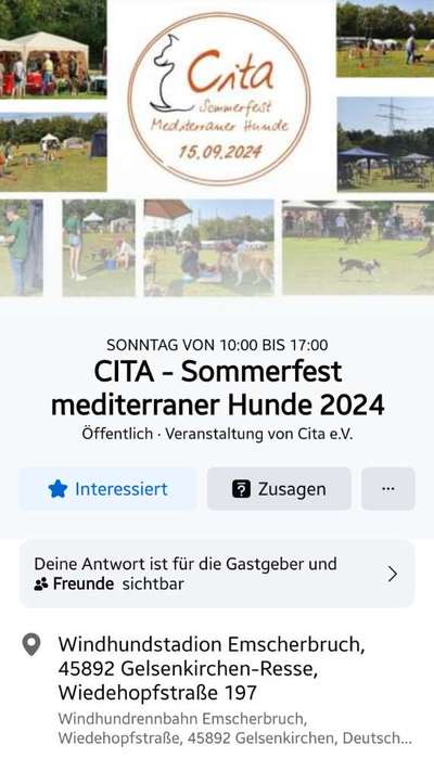 Windhunde - Treffen der besonderen Schönheiten
HERZLICH WILLKOMMEN-Beitrag-Bild