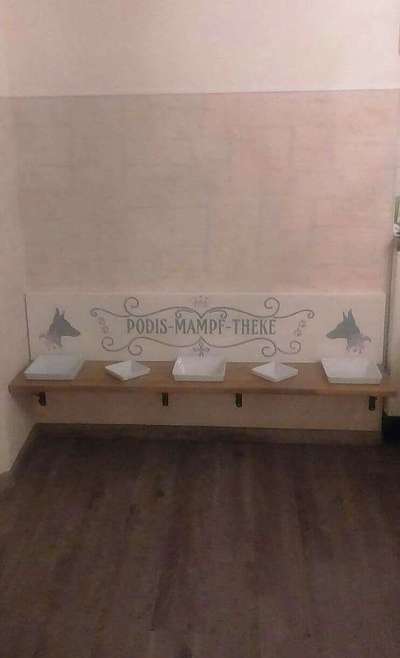 Windhunde - Treffen der besonderen Schönheiten
HERZLICH WILLKOMMEN-Beitrag-Bild