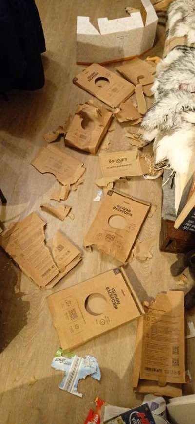 Windhunde - Treffen der besonderen Schönheiten
HERZLICH WILLKOMMEN-Beitrag-Bild