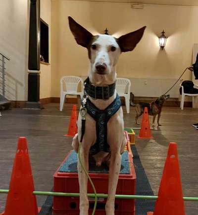 Fotochallange Nr. 57     PORTRÄT.   Beendet!!!!!!!!-Beitrag-Bild