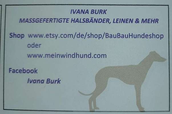 Geschirr für Dackel-Beitrag-Bild