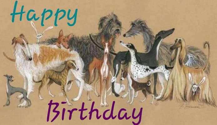 Windhunde - Treffen der besonderen Schönheiten
HERZLICH WILLKOMMEN-Beitrag-Bild