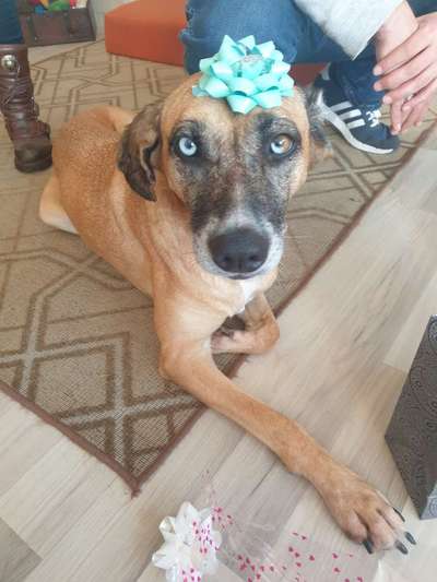 Fotochallange Nr. 57     PORTRÄT.   Beendet!!!!!!!!-Beitrag-Bild