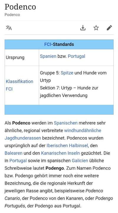 Windhunde - Treffen der besonderen Schönheiten
HERZLICH WILLKOMMEN-Beitrag-Bild