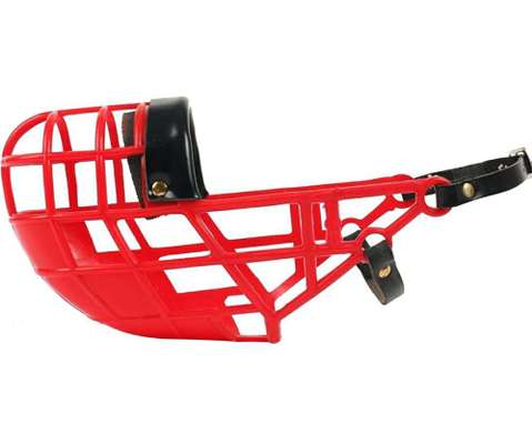 Windhunde - Treffen der besonderen Schönheiten
HERZLICH WILLKOMMEN-Beitrag-Bild