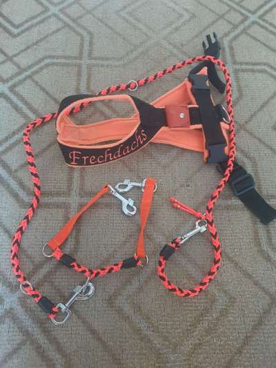 Windhunde - Treffen der besonderen Schönheiten
HERZLICH WILLKOMMEN-Beitrag-Bild