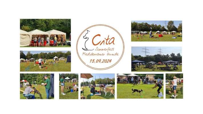 Windhunde - Treffen der besonderen Schönheiten
HERZLICH WILLKOMMEN-Beitrag-Bild