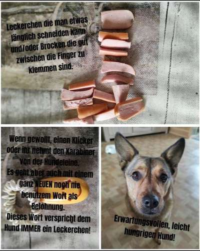 FUN AUFGABEN TOUR-Beitrag-Bild