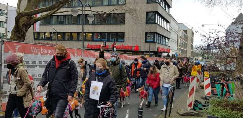 Windhunde - Treffen der besonderen Schönheiten
HERZLICH WILLKOMMEN-Beitrag-Bild