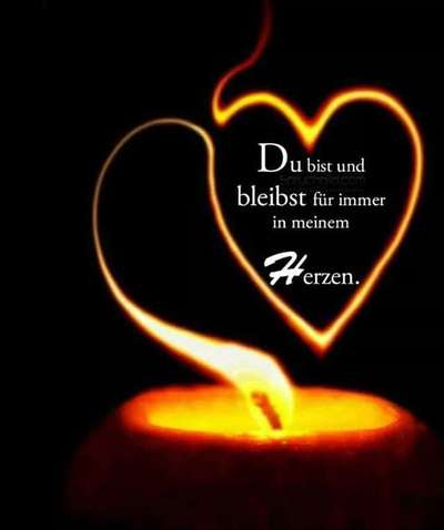 Windhunde - Treffen der besonderen Schönheiten
HERZLICH WILLKOMMEN-Beitrag-Bild