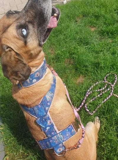 Steuermarke-Beitrag-Bild