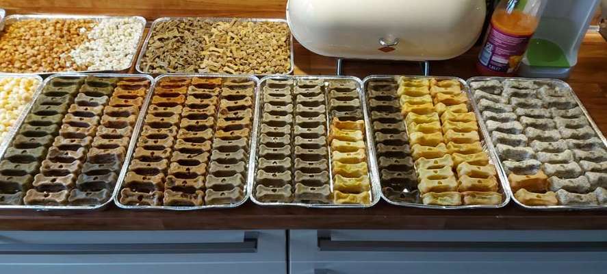 Heute gibt es.....der "ich mach die Leckerlis-Selber-Thread"-Beitrag-Bild