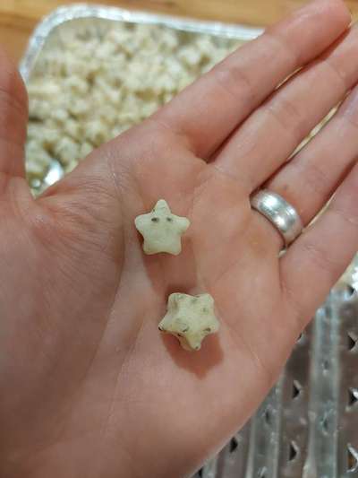 Heute gibt es.....der "ich mach die Leckerlis-Selber-Thread"-Beitrag-Bild