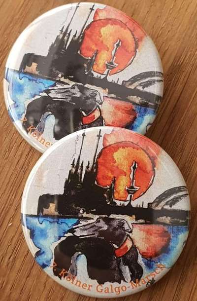 Windhunde - Treffen der besonderen Schönheiten
HERZLICH WILLKOMMEN-Beitrag-Bild