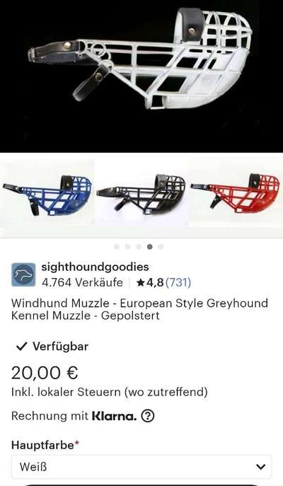 Windhunde - Treffen der besonderen Schönheiten
HERZLICH WILLKOMMEN-Beitrag-Bild