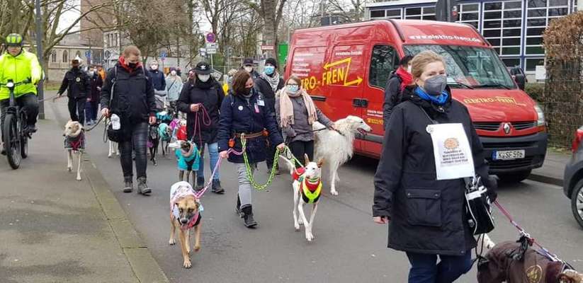 Windhunde - Treffen der besonderen Schönheiten
HERZLICH WILLKOMMEN-Beitrag-Bild