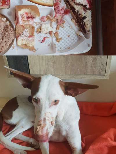 Fotochallenge 113: Auf frsicher Tat ertappt-Beitrag-Bild