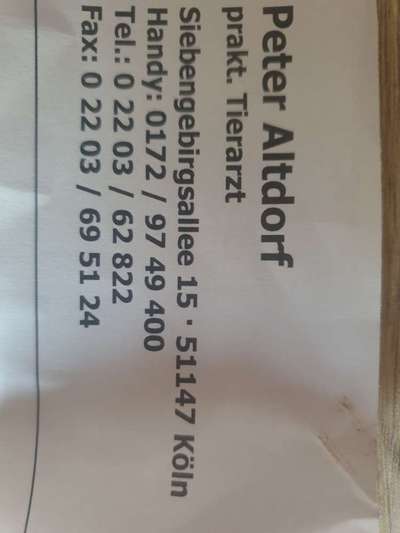 Kastration Rüde-Beitrag-Bild