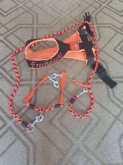 Selbstgemachte Artikel für Hunde-Beitrag-Bild